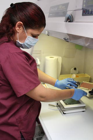 Hood prevents contamination and the dispersion of loose powders