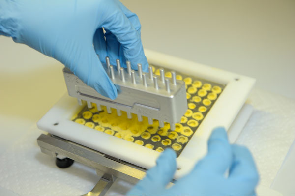 Place on capsule machine and disperse to ensure uniformity