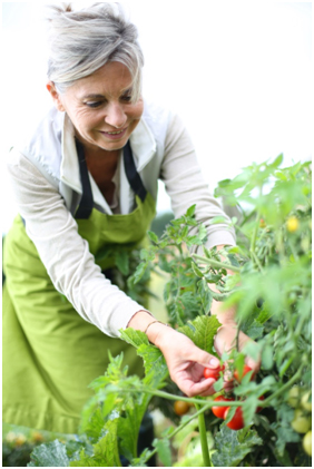Gardening as Therapy